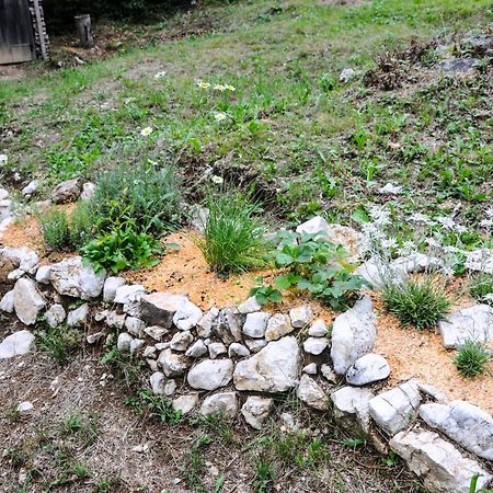 Gorska Hiska Vogar Nad Bohinjskim Jezerom エクステリア 写真