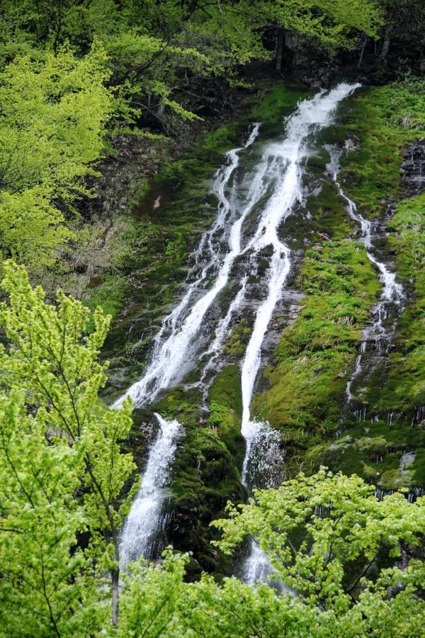 Gorska Hiska Vogar Nad Bohinjskim Jezerom エクステリア 写真